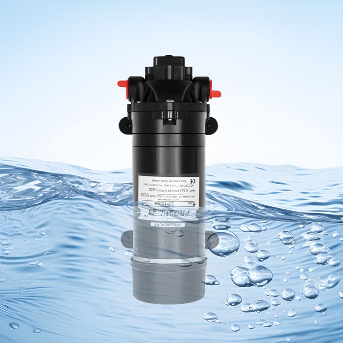 Pompe à Eau 12V/24V 120W - Auto-Amorçante, 10L/min, Protection Surtension