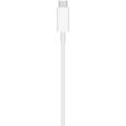 Chargeur APPLE MagSafe Charger-2