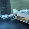 Broyeur sanitaire Aquasani 3 pour WC, douche, lavabo - Fabriqué en France - Garantie 3 ans-2