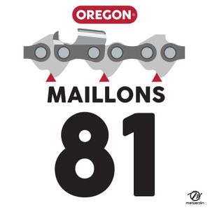 Guide Chaîne Oregon 50cm Référence 208RNDK095