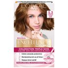 Coloration triple soin Excellence L'OREAL PARIS - Châtain Clair Doré 5.3