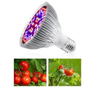 LAMPE VERTE VGEBY Ampoule Lampe Plante 50W E27 Spectre Complet LED, Dissipation Chaleur, Légume Serre