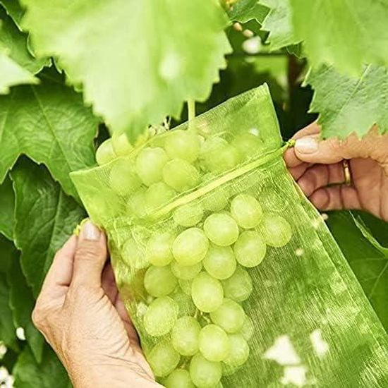 Lot 30 Sachets Protection Raisins 30x20 Cm – Organza Vert Réutilisable Avec Cordon – Anti-Oiseaux, Guêpes, Mouches Pour Fruits & Jardin