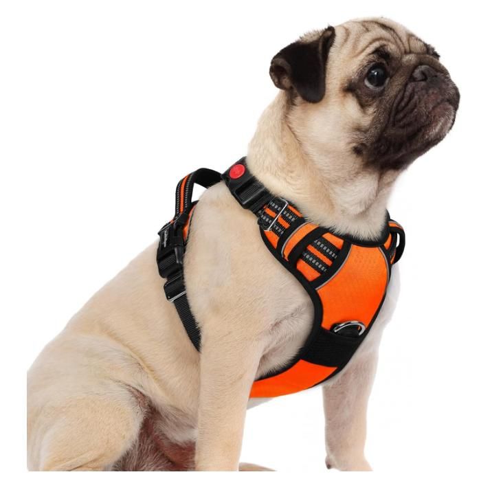Meilleurs prix pour rabbitgoo Harnais Chien Anti Traction avec 3 boucles pour Chien Facile à Mettre Harnais Réfléchissant Réglable pour Chien orange S