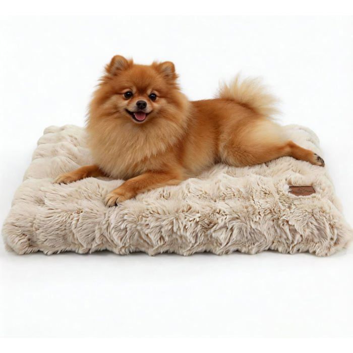 Panier Chien Moyen 76X51X10Cm Coussin Déhoussable et Lavable Tapis Matelas Peluche Douce Beige - 76x51x10 cm