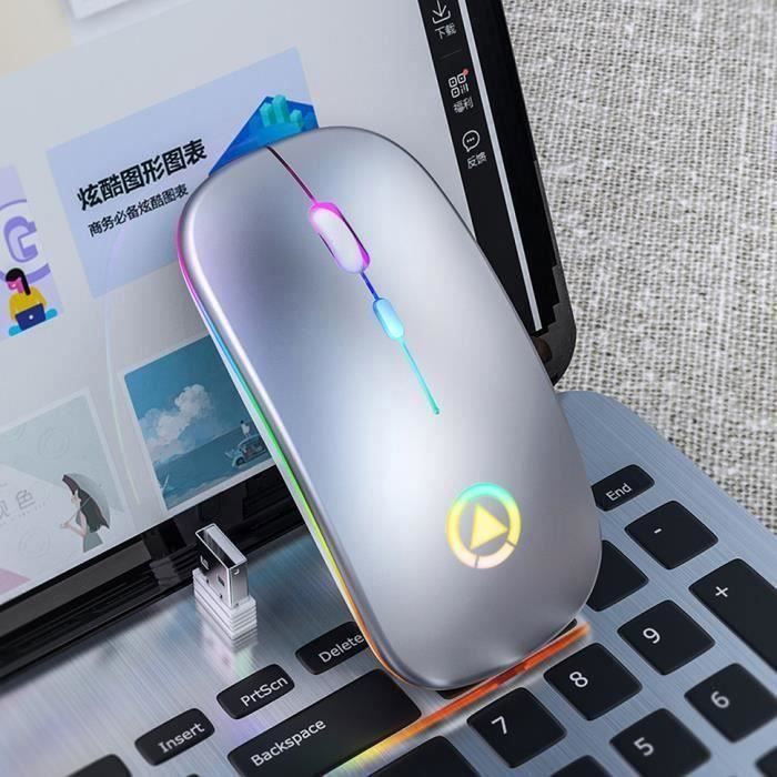 Ergonomique Souris Sans Fil Rechargeable Silencieux LED Rétro-Éclairé Portable Mignon Mini Souris Fonctionne pour PC Ordinateur