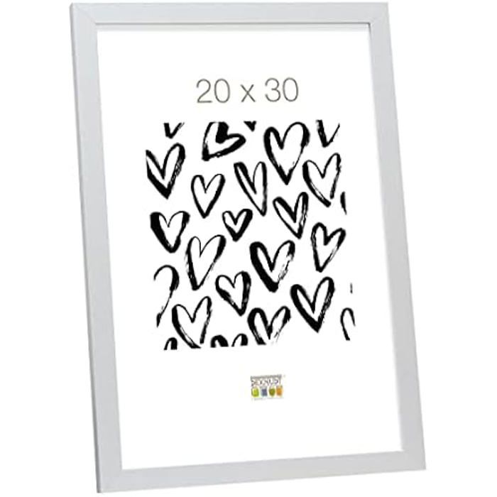 Deknudt Frames S58RL1V Cadre Photo sur Pied Vertical Résine Transparent