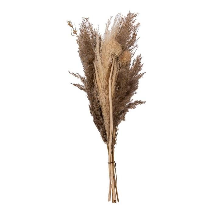 Set De 3 Fleurs Séchées Pampa Naturelle – Hauteur 110 Cm – Décoration Intérieure Bohème, Style Romance