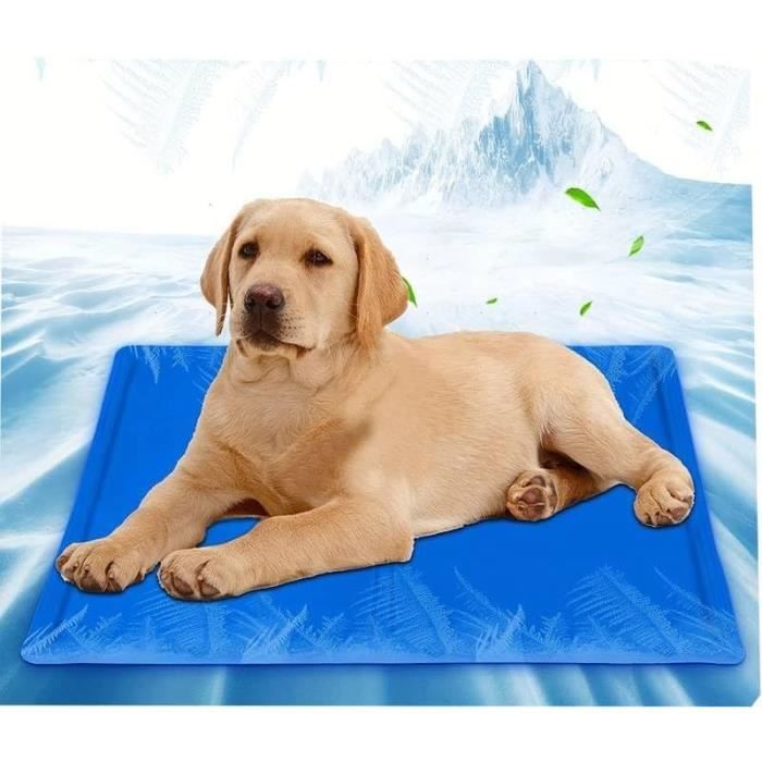 Tapis Refroidisseur Pour Cheval Masta 5'3'' Bleu Et Violet