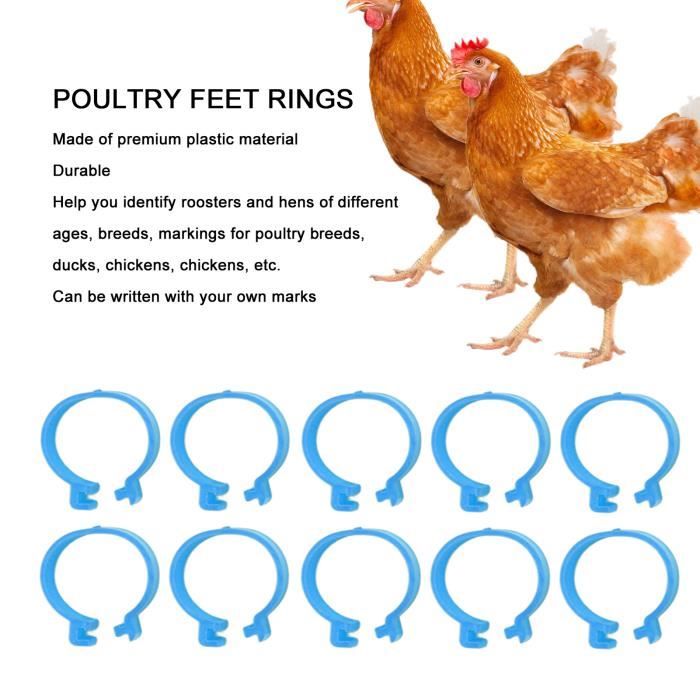 Poultry Lot de 100 anneaux de jambe réglables pour poulet avec clips pour  marquage de volaille et anneaux de ferme et Ranch (Orange)