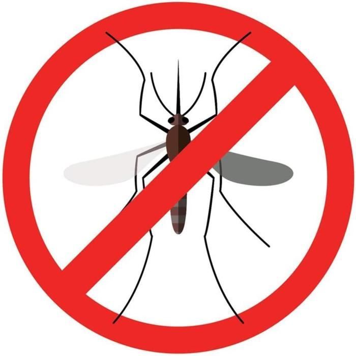 Raid anti moustiques spirale 10 spirales Tigre contre les moustiques et les  moustiques (Lot de 5)273 - Cdiscount Santé - Mieux vivre