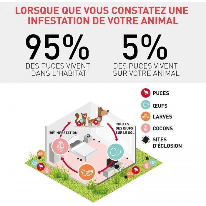 Fogger Anti Puce Pour Maison Ventana Blog