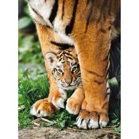 Puzzle Tigre du Bengal - CLEMENTONI - 500 pièces - Animaux - Adulte