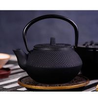 CAFETIERE 50ml durable style japonais en fonte bouilloire tetsubin théière pot de thé mini