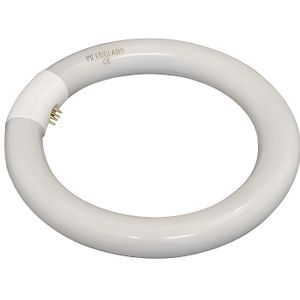 tube fluorescent T9 circulaire 32W G10q blanc chaud tube fluorescent T9 circulaire 32W G10q blanc chaud