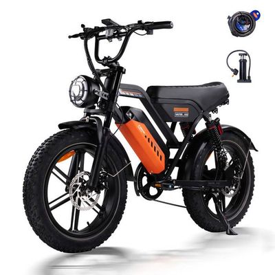 Fatbike 20" moteur 250W