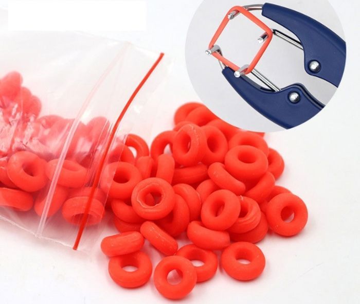 Lpitoy Anneaux De Castration En Caoutchouc, 100 Pièces, Queue De Coupe, Anneaux En Caoutchouc, Cercle De Castration, Anneaux De Queue De Castration Pour Porcs, Bovins Moutons