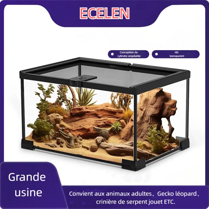 Terrarium Pour Tortues Terrestres Terrarium - France