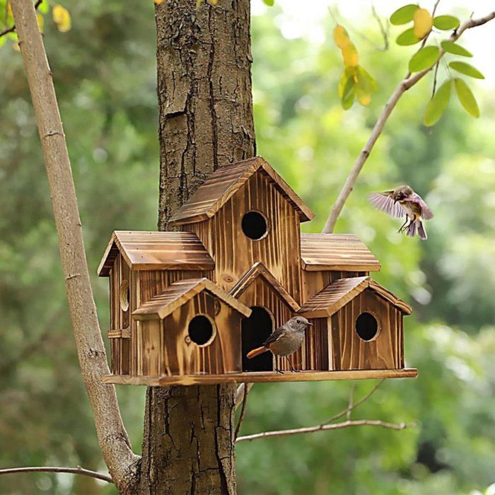 Meilleurs prix pour Nichoir artisanal à 6 trous nichoir dextérieur nichoir à colibris à 6 trous grand nichoir suspendu boîte à nid dispositif de