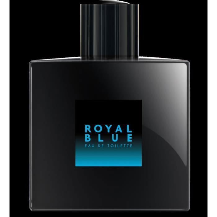 ARNO SOREL Eau de toilette Royal Blue 100 ml Cdiscount Au quotidien