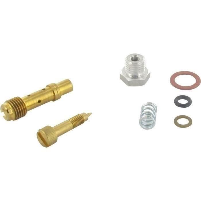 Kit vis de richesse BRIGGS ET STRATTON 396795 - 391233