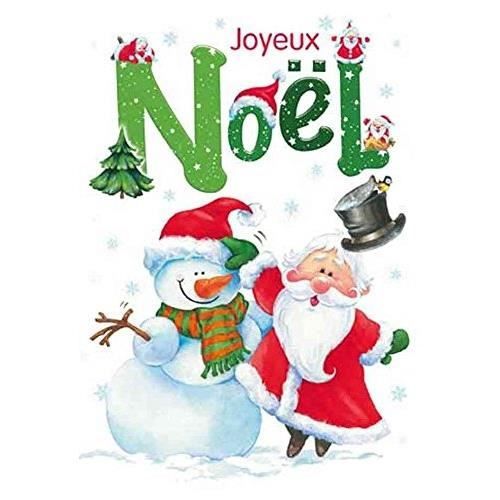 Carte De Vœux Joyeux Noël Sue Hall 2009 - Chiens Et Chats - 4 Pages + Enveloppe