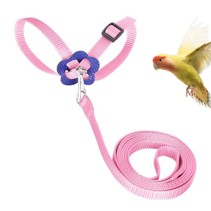 Comparer les prix de VGEBY Harnais pour oiseaux Harnais Oiseaux Laisse de Perroquet Corde Anti-morsure Réglable en Nylon pour animalerie jouet Rose