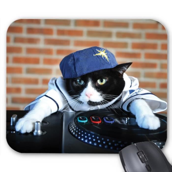 Tapis De Souris Chat Dj Ref 3026 Cdiscount Informatique Tapis De Souris Chat Dj Ref 3026 Cdiscount Informatique