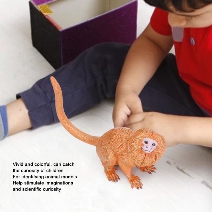 Modèle d'insecte en plastique - Drfeify - 6 pièces - Jouets d'insectes