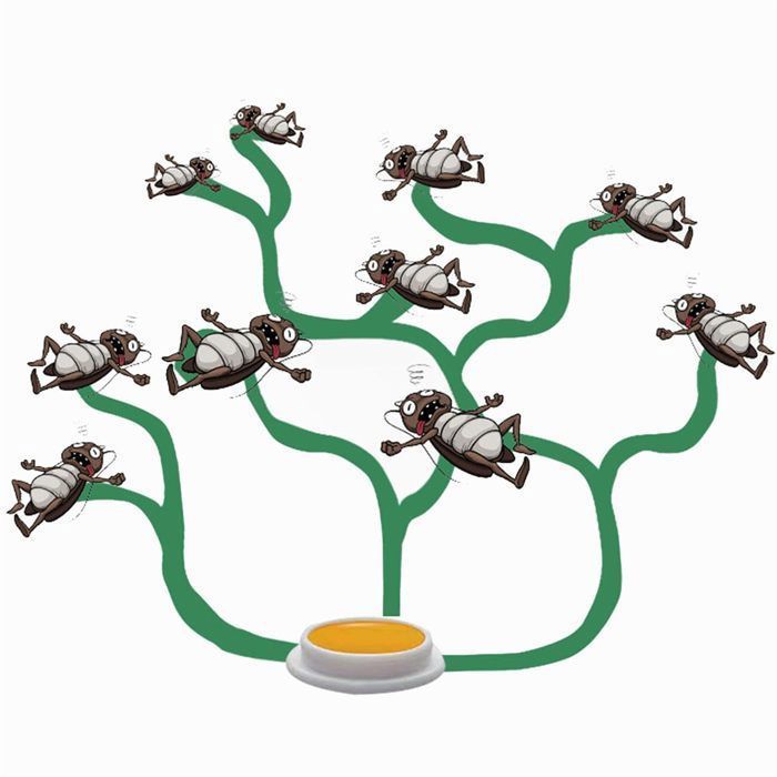 32 Pièces Station D'appât Pour Cafards Piège à Cafards