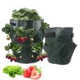 Jardinière PE pour fraises, sacs de culture, pommes de terre, pots de jardin, maison, jardin, fleur, légumes,-0