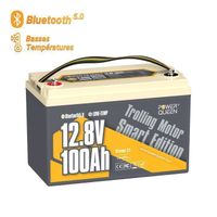 Power Queen Batterie lithium 12V100Ah LiFePO4 Bluetooth pour Moteur hors-bord électrique Groupe 31  Protection de froid