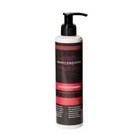 Friseurmeister Shampoing Color Saver avec formule de protection de la couleur sans parabens pour tous types de cheveux 250ml