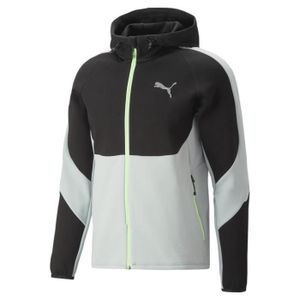SWEATSHIRT Sweatshirt zippé à capuche Puma Evostripe - black/