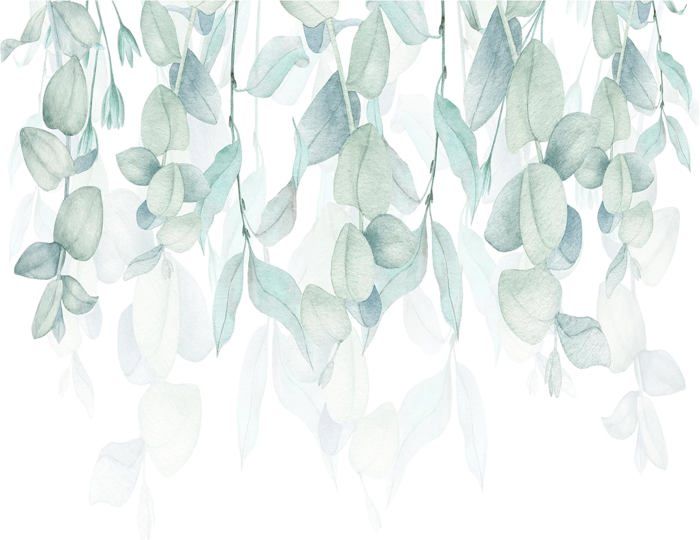 Papier Peint Panoramique Plante Nature 350x256 cm Décoration murale ...