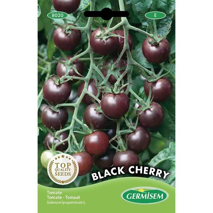 Tomate Cerise Black Cherry Bio - Graine De Tomate | Magellan Bio