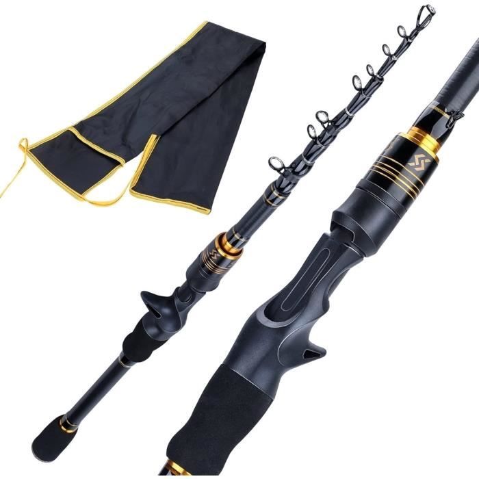 Top Canne à Pêche Télescopique Carbone En France : Guide D