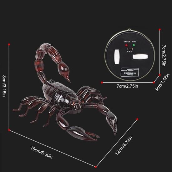 Télécommande Scorpion Robot Scorpion Rc Jouet Réaliste Scorpion