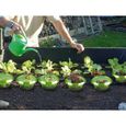12 anneaux anti-limaces - ROYAL GARDINEER - Répulsif écologique - Accessoire de jardinage-3