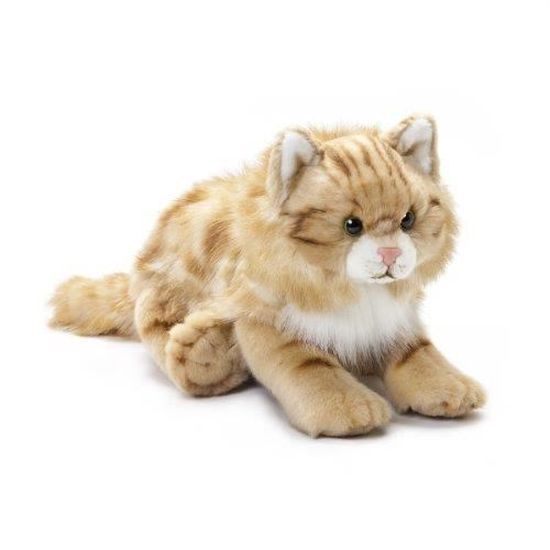 Jouet En Peluche Chat Maine Coon Grand Q76i7 Cdiscount Jeux Jouets Jouet En Peluche Chat Maine Coon Grand Q76i7 Cdiscount Jeux Jouets