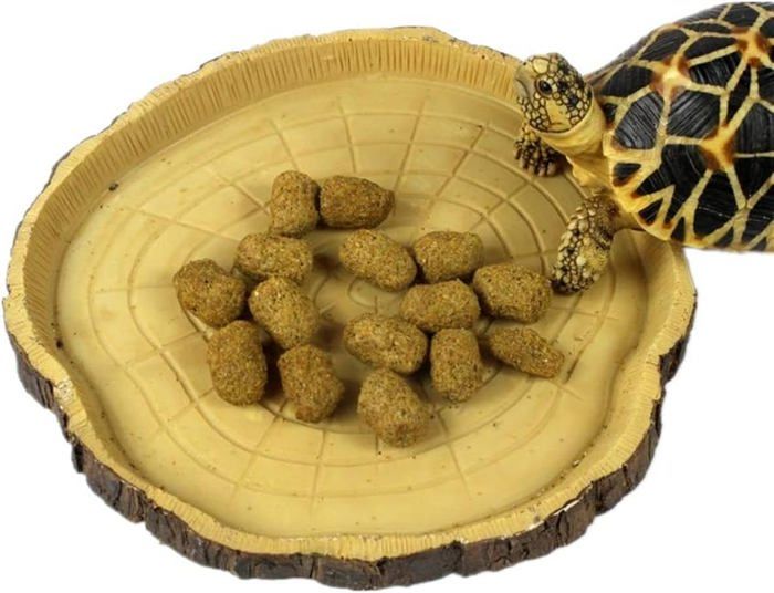 Comparer les prix de Gamelle pour reptiles, bol d'eau et de nourriture pour geckos et tortues, accessoires terraristiques.