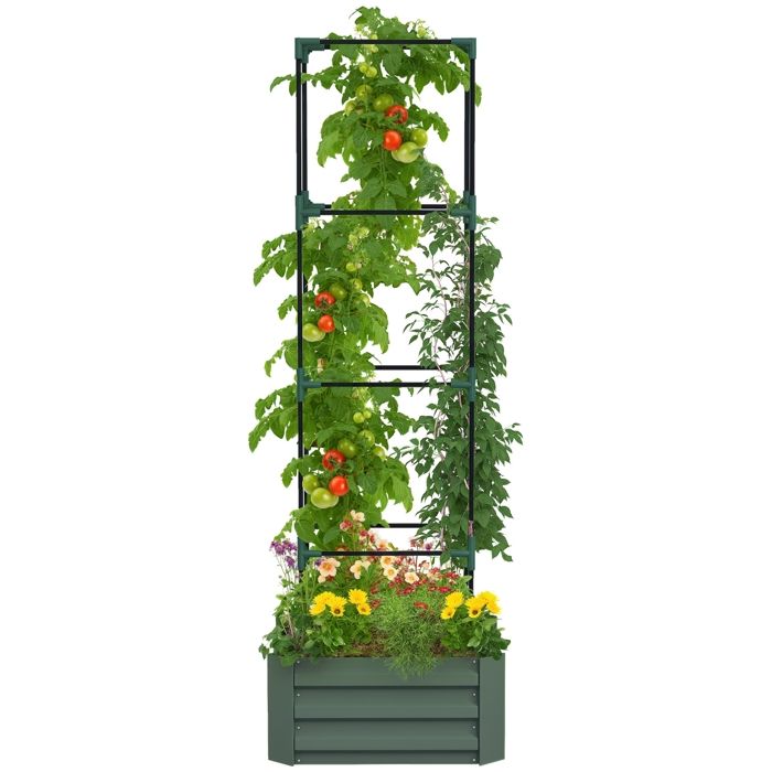 Jardinière avec treillis ajustable - Outsunny - pour plantes grimpantes légumes fleurs - en acier galvanisé - 61x61x187cm vert