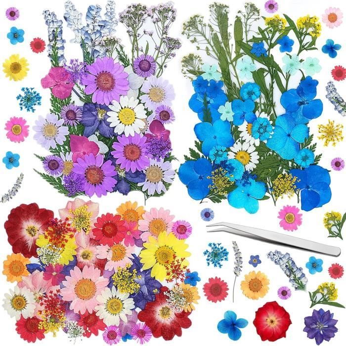 Herbe De Pampa Séchée Plumes 20 Pcs 17 Pouces De Haut Plantes Séchées Naturelles Fausses Tiges De Roseau Artificielles Bouquet Pour Arrangements De Mariage Décoration De Porte De Vase Couronne Blanche
