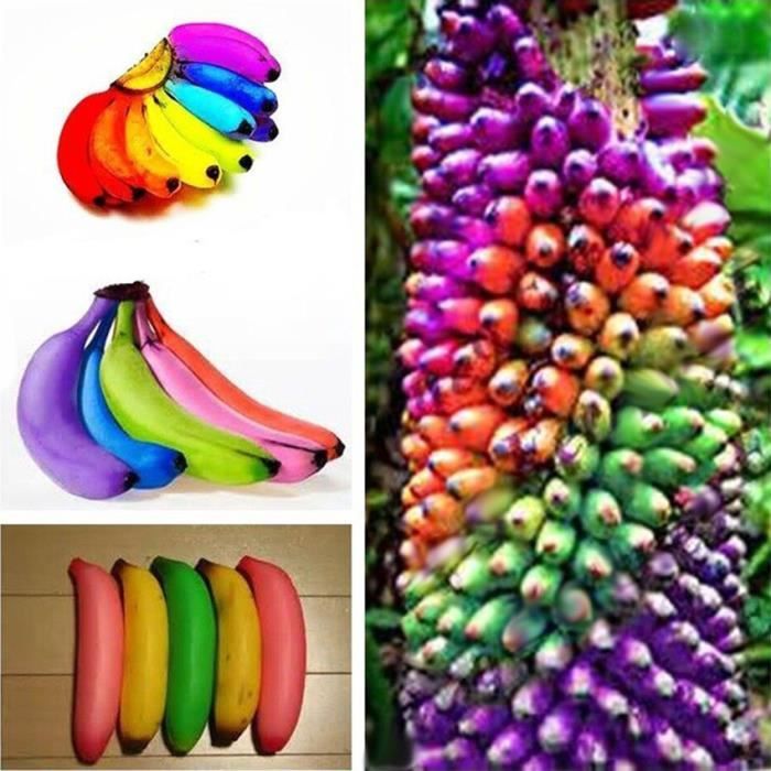Banane multicolore clearance