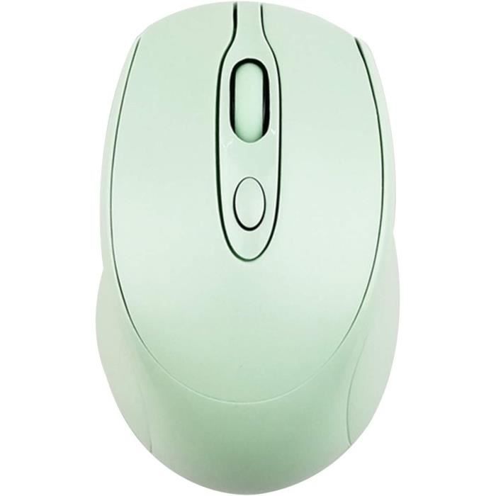 RADISOPH - Mini Souris Sans Fil Silencieuse 2,4 GHz, 1600 DPI, Pour PC Portable Et Bureau