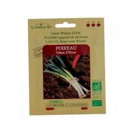 GRAINES BIO -Poireau géant d'hiver