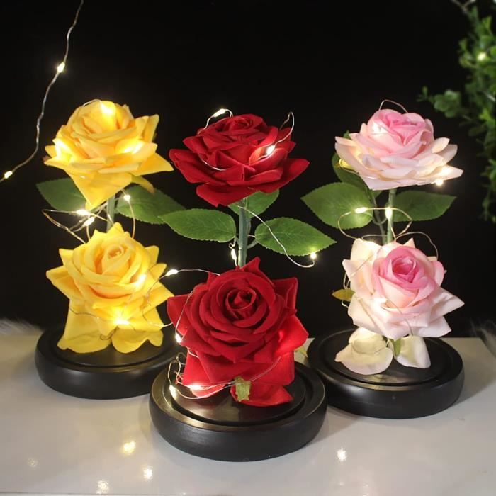 Rose Éternelle - MEGAWISE - Dôme Verre avec Lumière LED - Cadeau pour