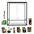 Terrarium cameleon