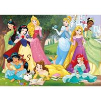 Puzzle 500 Pieces - Les Princesses Se Reposent Dans Le Parc Du Chateau - Collection Educa Disney