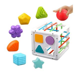 BOÎTE À FORME - GIGOGNE Cube d'activité Bébé Module Motricité - Jouet Sens